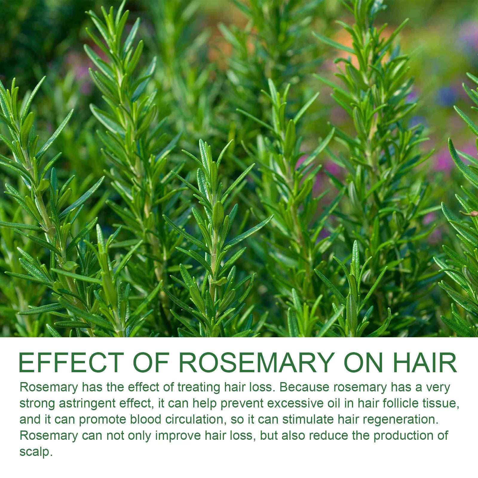 Rosemary Shampoo for Damaged Hair -  Glowcella