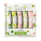 Moisturizing Plant Fragrance Hand Cream -  Glowcella